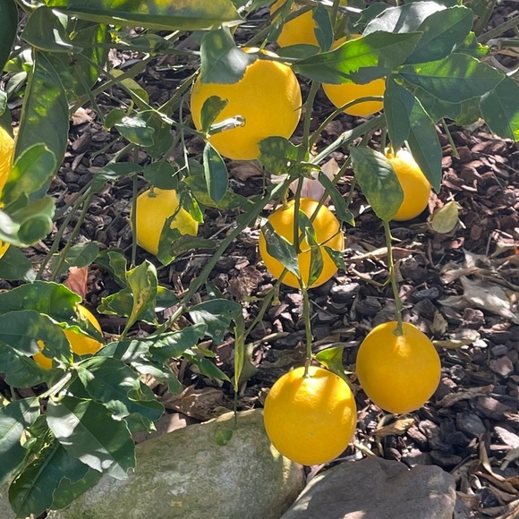 Meet your Posher, Kimberley - Picture 15 of 16